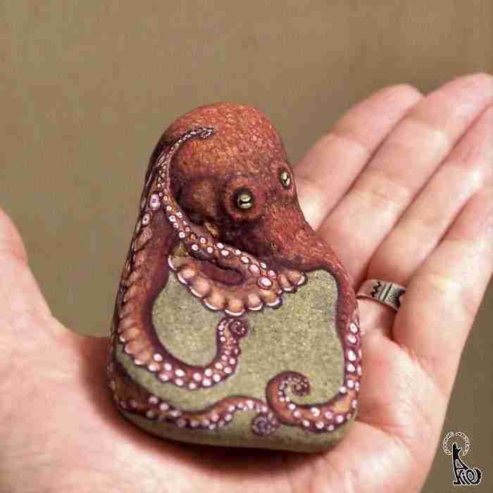 Pulpo