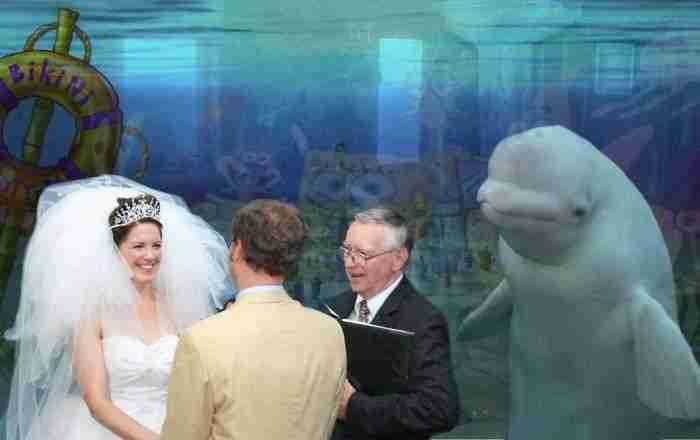 Boda En Fondo De Bikini