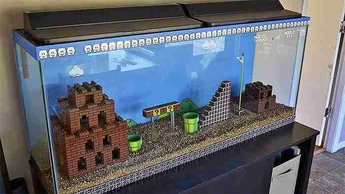 Decoración de acuario