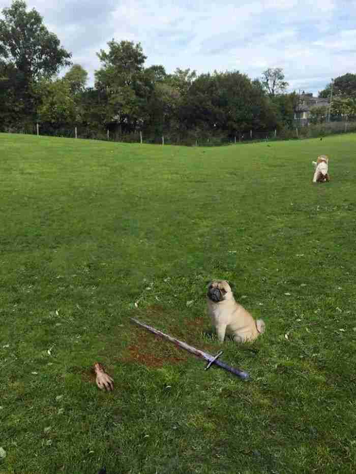 Ha reclamado como suyo el trono de hierro