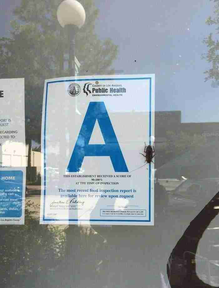 La inspección de sanidad de este restaurante les salió de lujo. La ironía es deliciosa