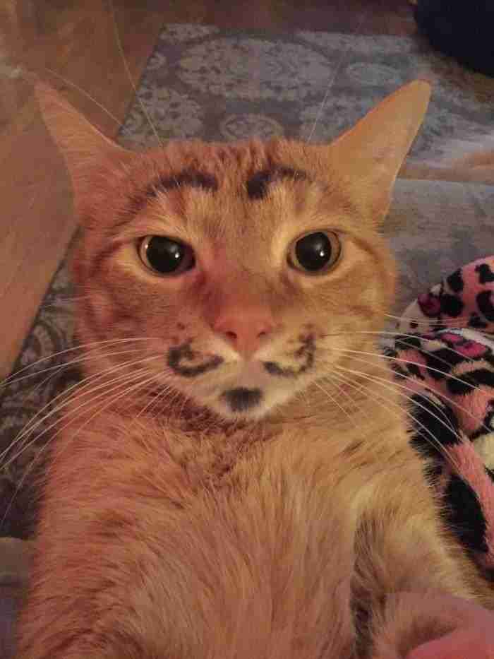 When Your Kid Is Quiet For Too Long In Another Room