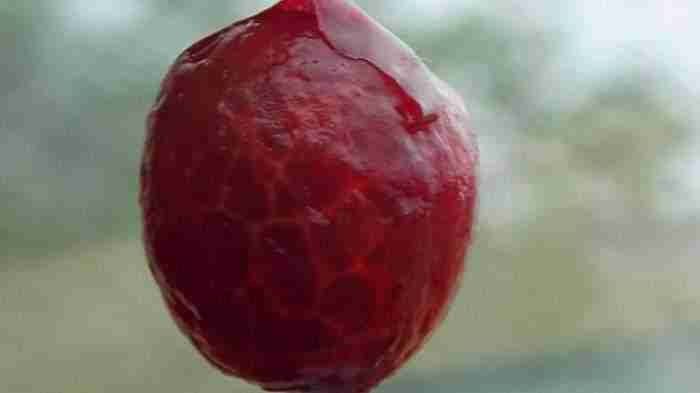 I Peeled A Cherry For Fun And It Blew My Mind