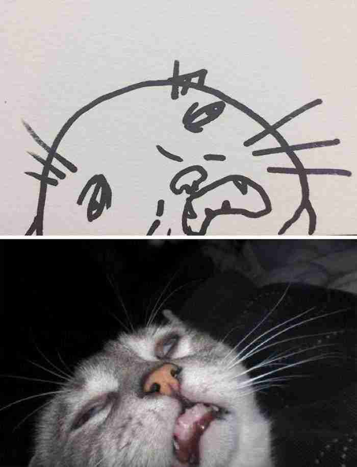 When Your Teacher Keeps Saying You Can't Draw Cats, But Your Paintings Are Photorealistic