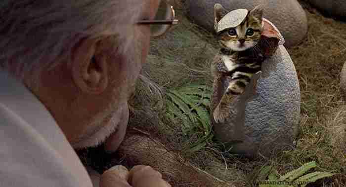Someone Replaced Jurassic Park Dinosaurs With Cats, And It's Hilarious