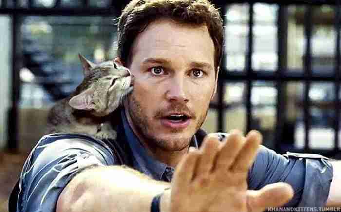 Someone Replaced Jurassic Park Dinosaurs With Cats, And It's Hilarious