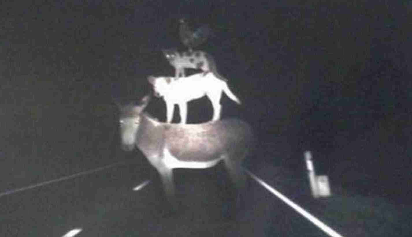 Fotos Terrorificas Inexplicables | 20 fotos tan terror 237 ficas que van a hacer que te encierres Fotos Terrorificas Inexplicables | 20 fotos tan terror 237 ficas que van a hacer que te encierres