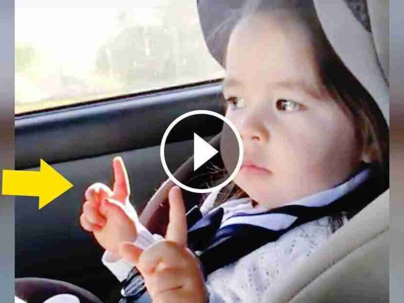Sexo En El Coche: La Ley Te Sorprenderá - ho1pit7