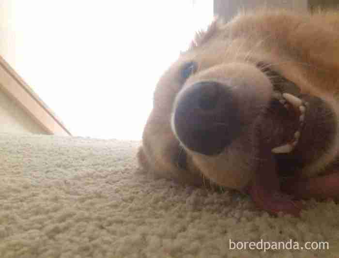 Woke Up Hungover On The Floor, She Wanted To Be By My Side All Night