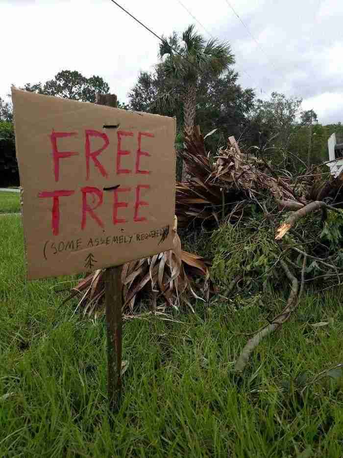 Morning After Irma