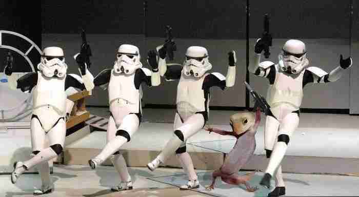 Try Outs For The Dark Side