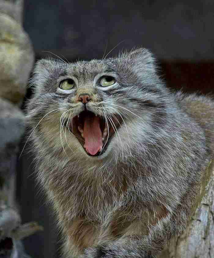 Estoy fabuloooosooo