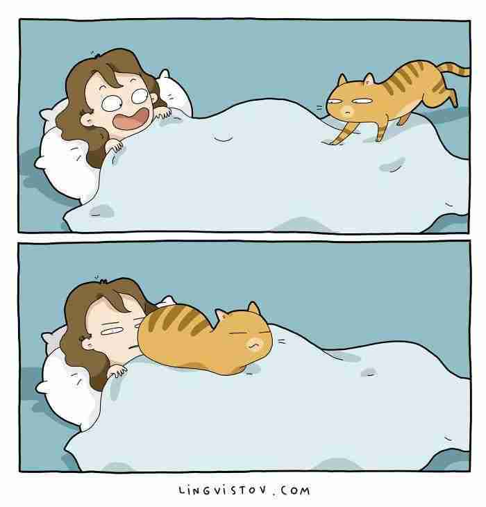 I Illustrate What It's Like To Live With A Cat In 18 Comics