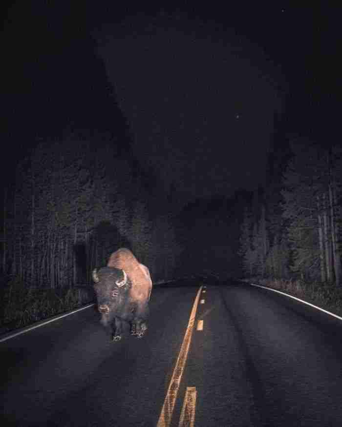 Estaba dando un paseo después de medianoche, y a la luz de la luna vi esto