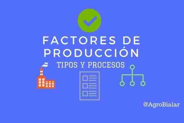 Factores de Producción. Tipos y Procesos de Factores 