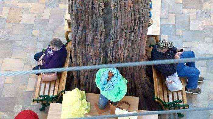 Mis abuelos esperándose el uno al otro en el centro comercial