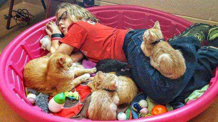 Voluntaria echándose una siesta con gatos