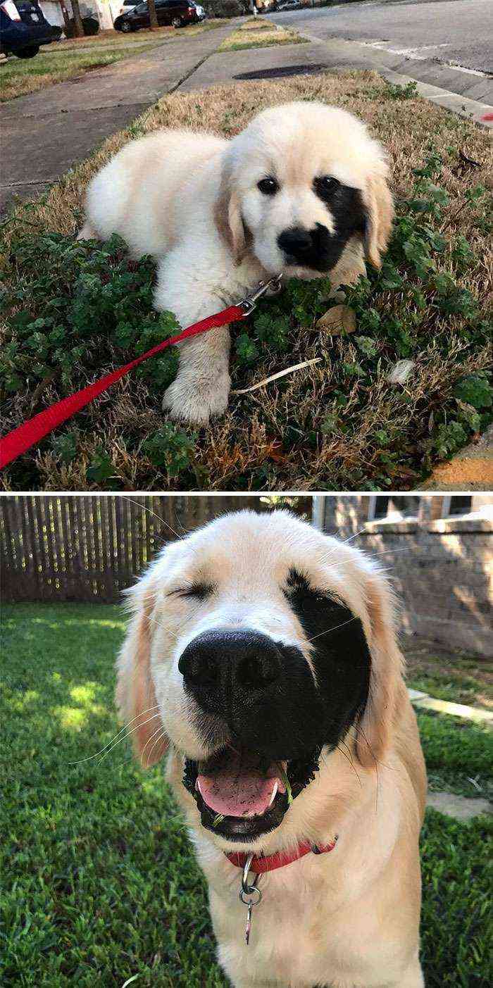 Es precioso con su marca de nacimiento