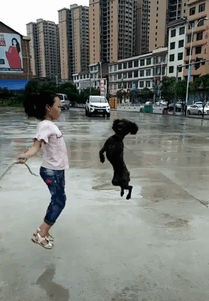 Perro y niña saltando a la comba