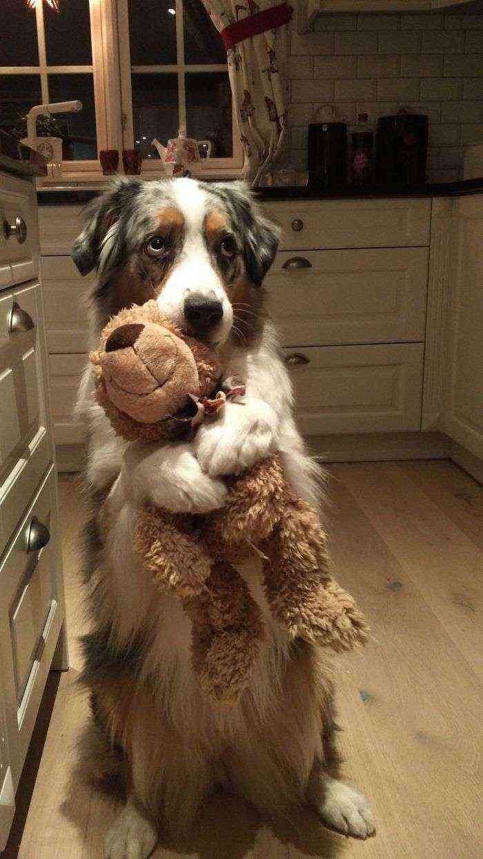 Izzie y su peluche