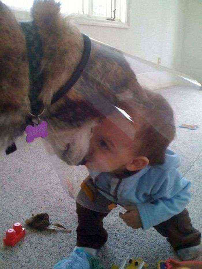 El perro estaba triste por el cono, pero vino alguien a animarlo