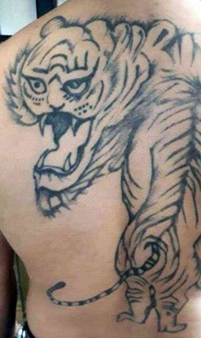 Vaya tigre