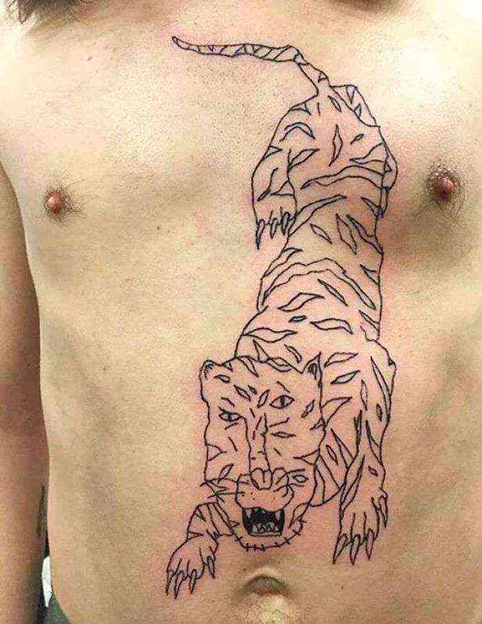 Otro tigre...