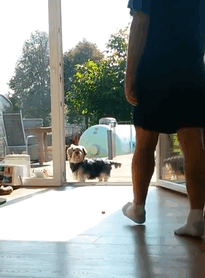 Se cree que la puerta está cerrada