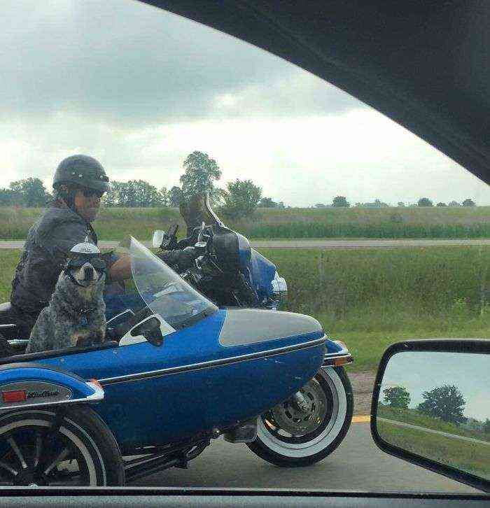 Visto en la autopista