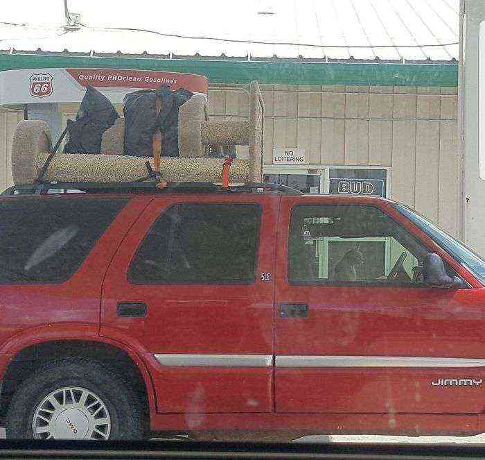 Gato en la gasolinera