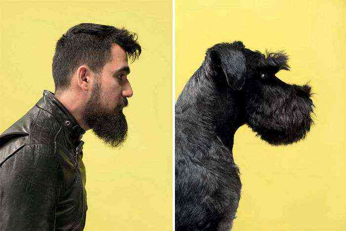 Cenk & Horst (Schnauzer)