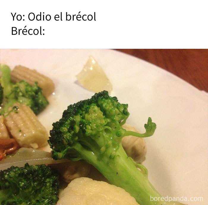 10 Divertidos Memes Sobre Comida 2633