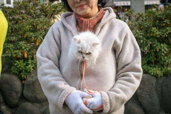 72 Quirky And Extraordinary Moments Of Everyday Life In Japan By Shin Noguchi