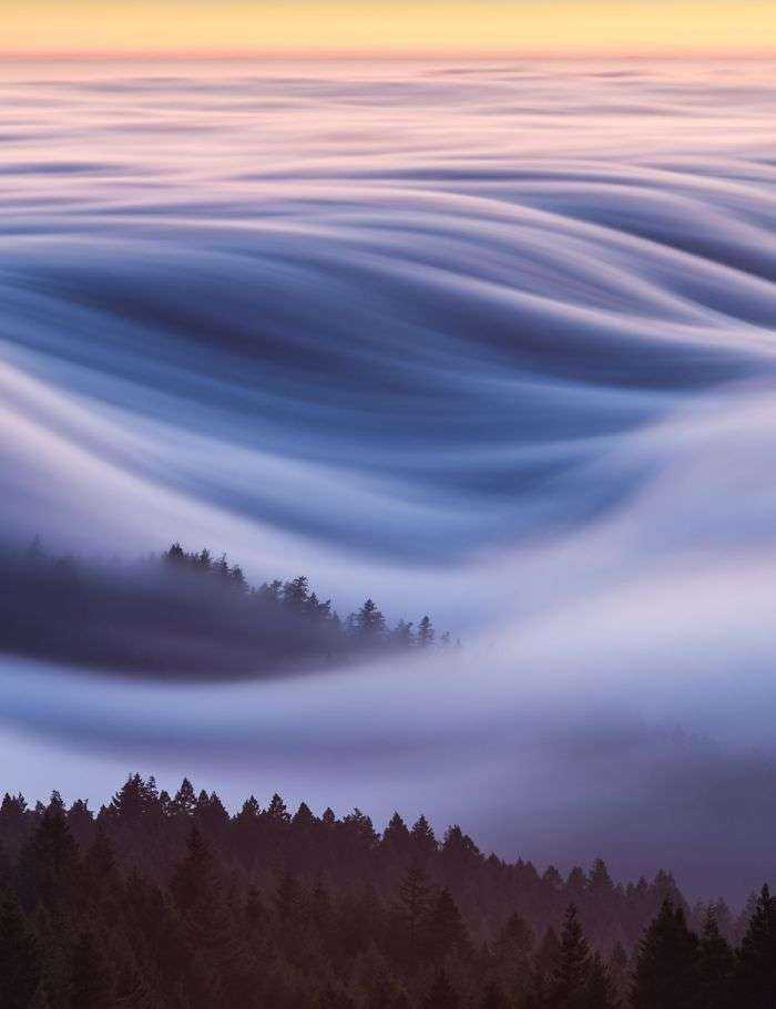 Premio del público, Lugares: Algodón de azúcar, olas de niebla, David Odisho