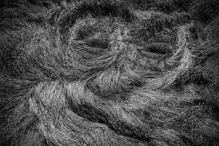 Cara en el campo de cereales, Germany photographersworld