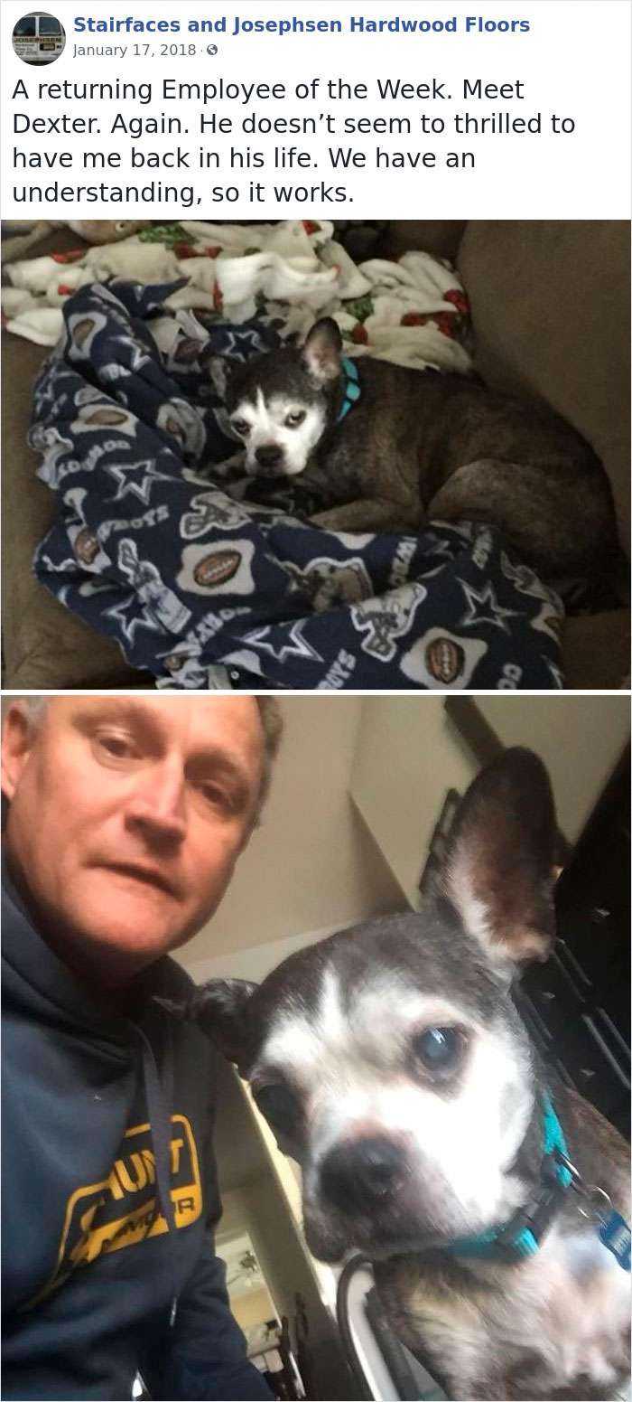 30 Adorable 'Employees Of The Week' That This Contractor Met At The Houses He Works At