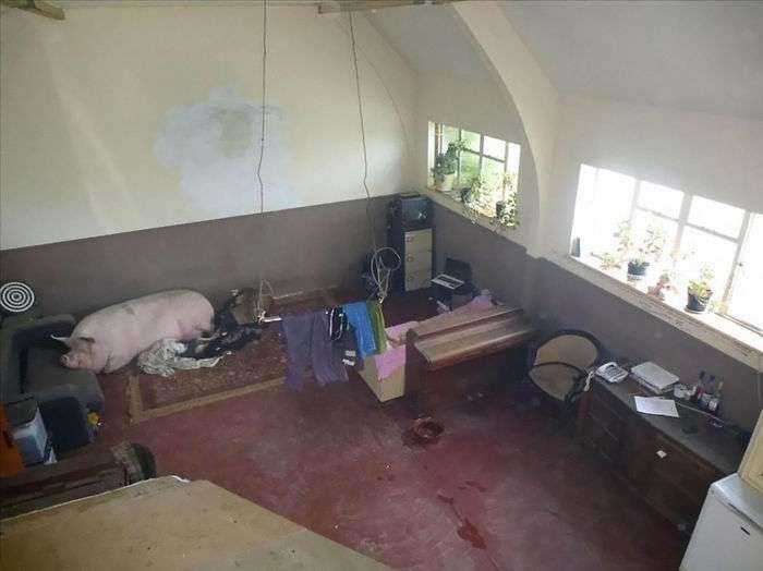 30 Terrible Pictures Taken By Real Estate Agents
