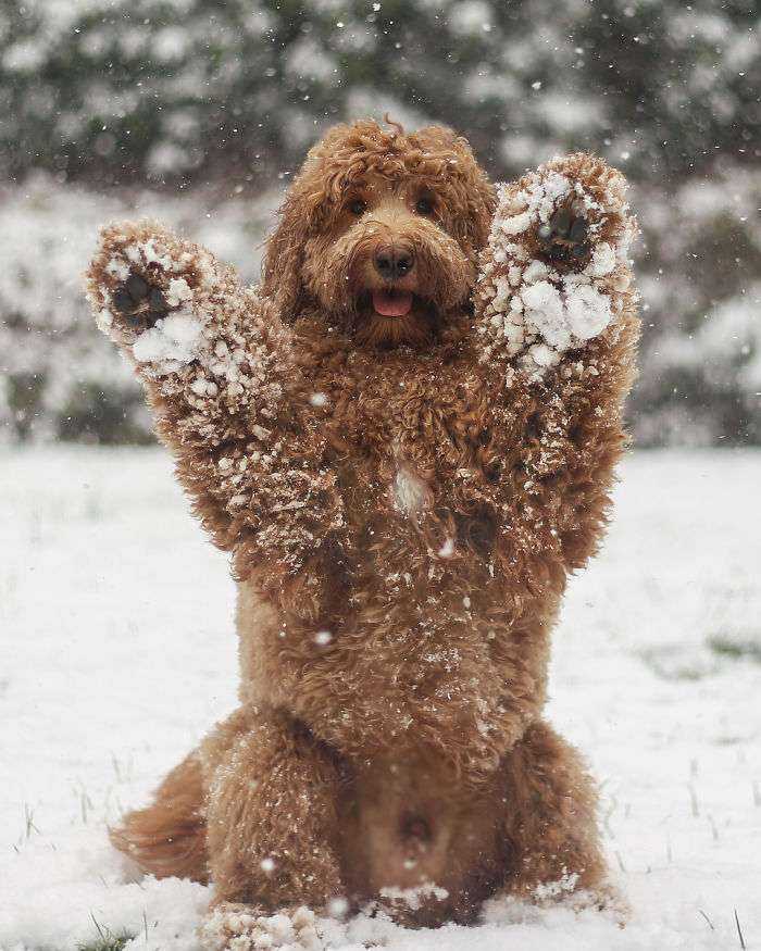 Le encanta la nieve