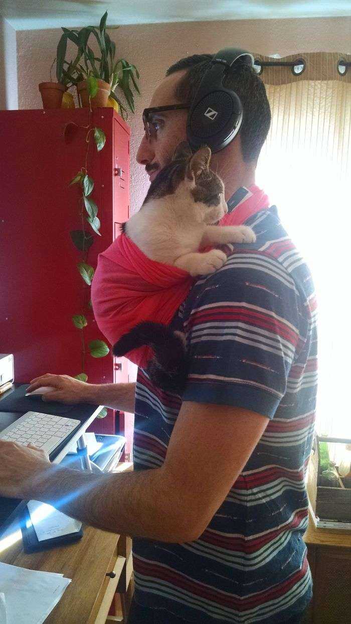 Mi novio trabaja en casa, pero nuestro gato Simon insiste en ser cogido en brazos a menudo