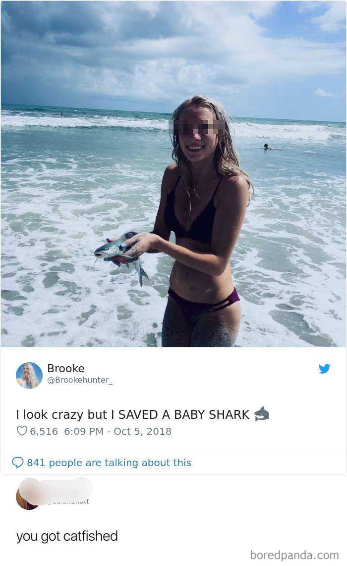 Sé que parece una locura, pero he salvado a un bebé tiburón / Es un pez gato marino