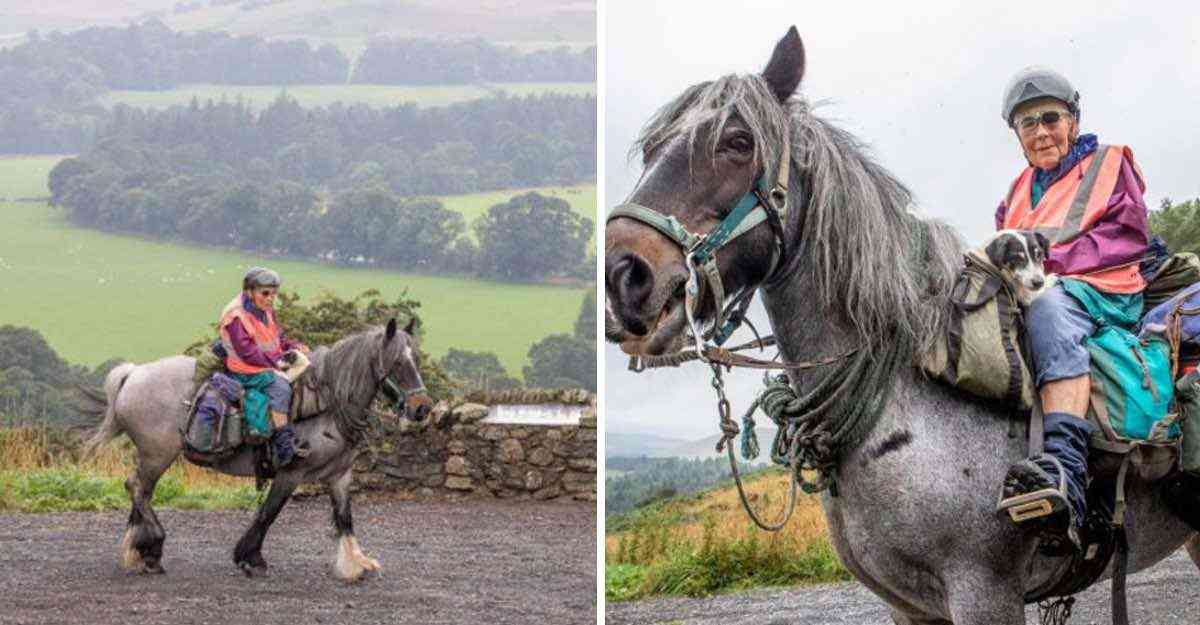 Mujer de 80 años recorrió casi 1000 km a caballo junto a su perro con discapacidad. Es su tradición