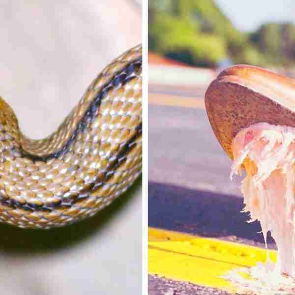 10 Trucos y curiosidades que podrían salvarte algún día la vida cuando lo necesites