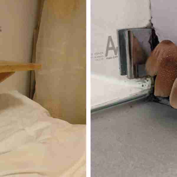 14 desafortunadas sorpresas encontradas en habitaciones alquiladas