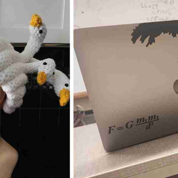 15 veces que la gente demostró creatividad sin límites