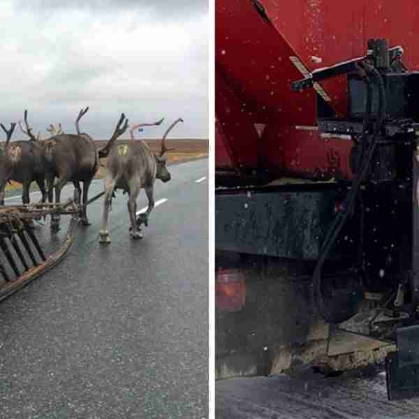 16 personas que encontraron las cosas más extrañas en su camino por la carretera