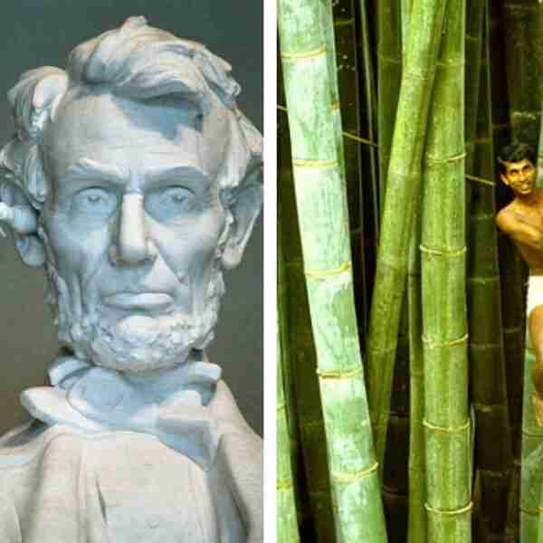 19 imágenes que muestran el tamaño real de las cosas