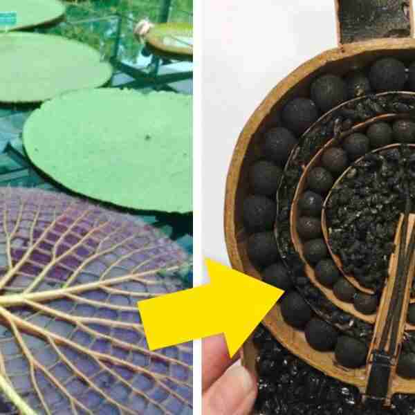 20 Cosas del día a día que vas a tener que mirar desde otra perspectiva