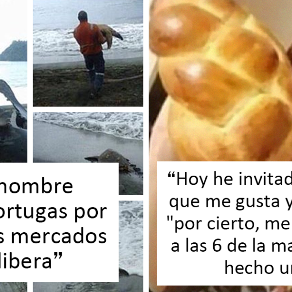 20 Publicaciones conmovedoras de la cuenta más reconfortante en internet para levantarte el ánimo