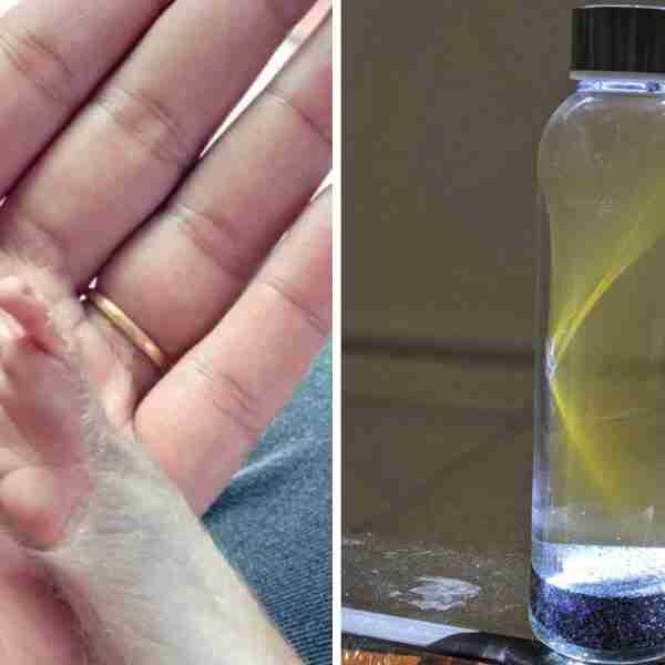 24 Fotografías fascinantes de cosas poco comunes