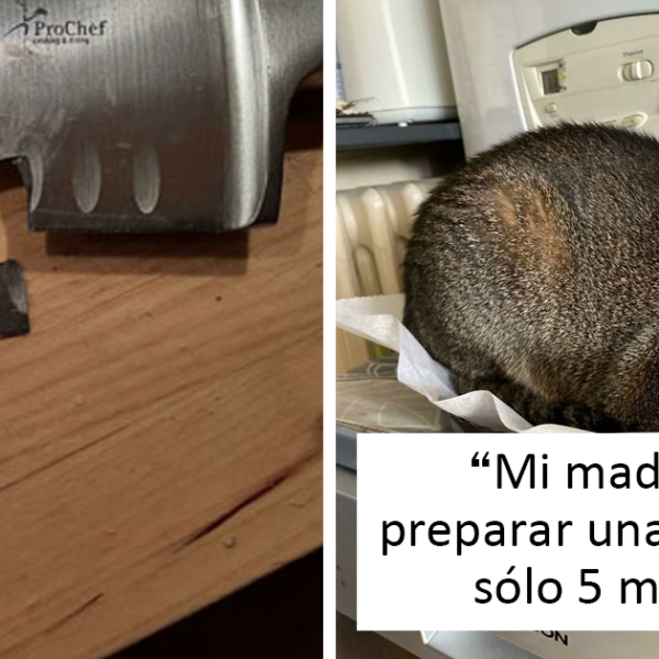 40 De los accidentes de cocina más divertidos (nuevas fotos)